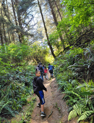 Yurok Club kids hiking in the redwoods