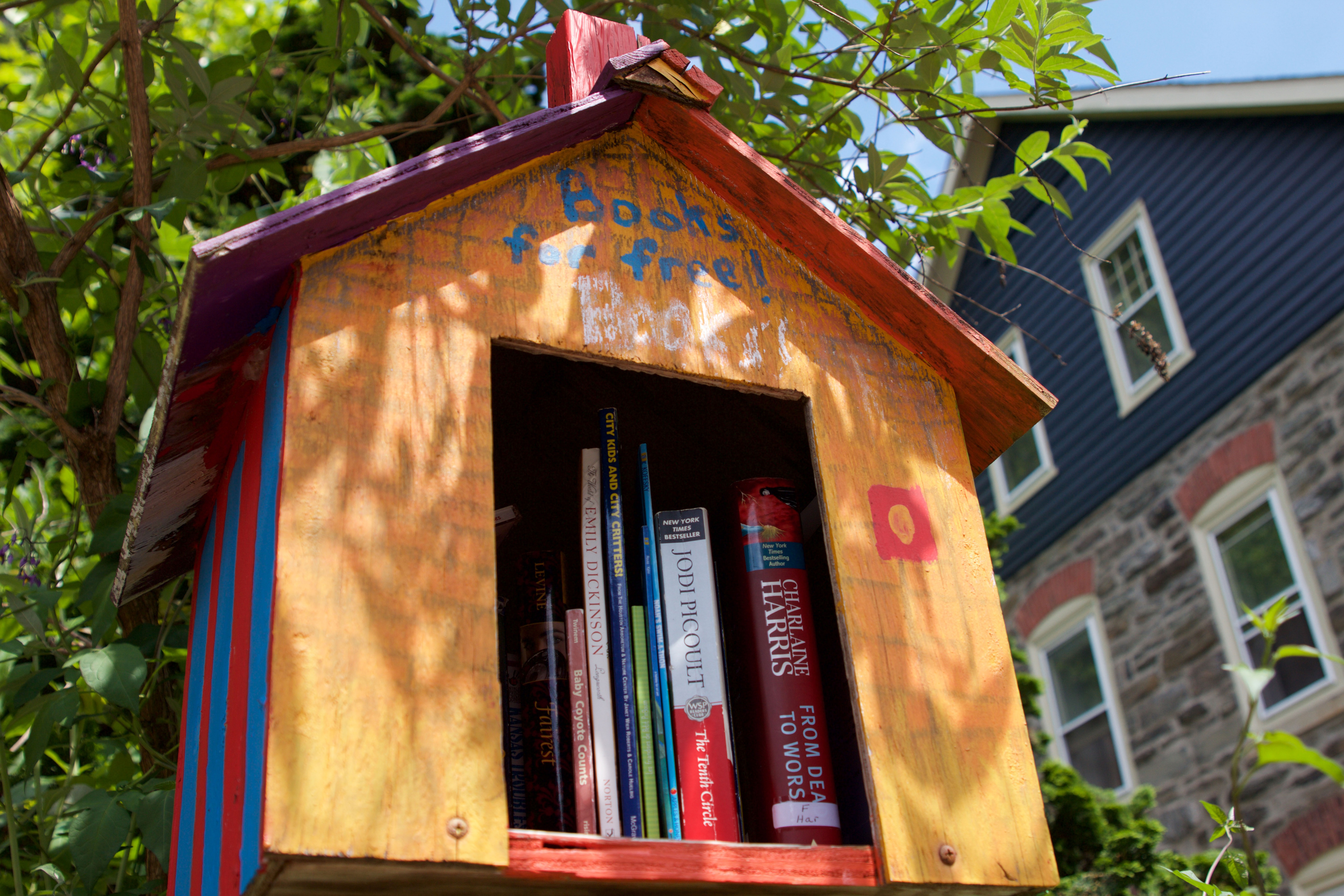 Little Free Library