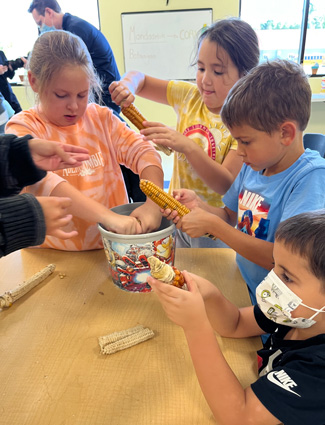 Kids pulling kernels off dried corn cobs into a bucket
