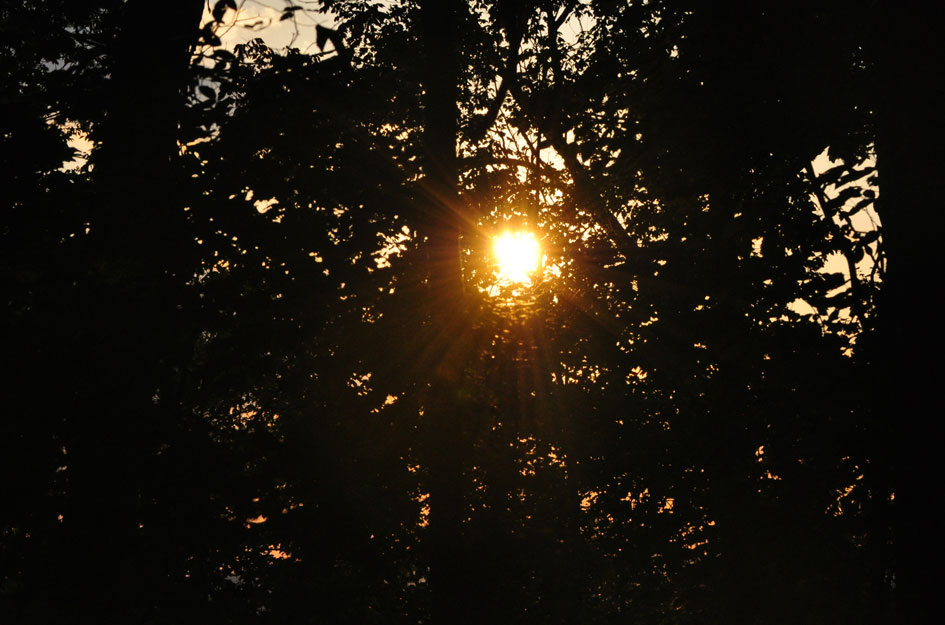 Khalil's Photography