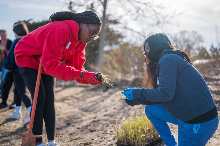 Club kids planting marsh grasses