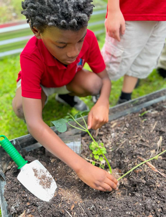 Elliot in the garden
