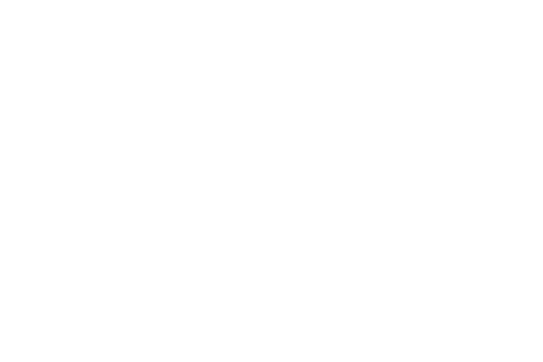 Mentor the Next Generation