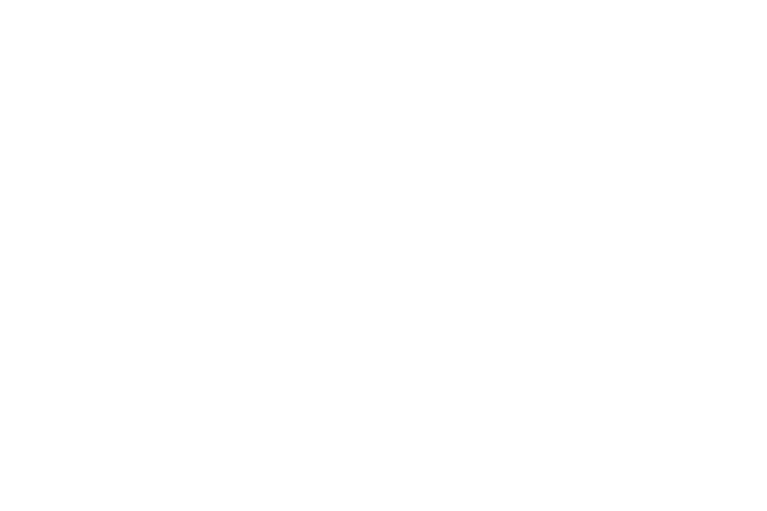 Volunteer in Your Community