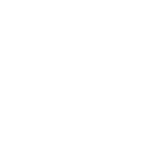 91 percent icon
